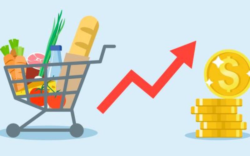 Rising food prices. Grocery cart with different products. Dollar growth, red arrow up. Golden stack of dollar coins. Flat vector illustration on a blue background.