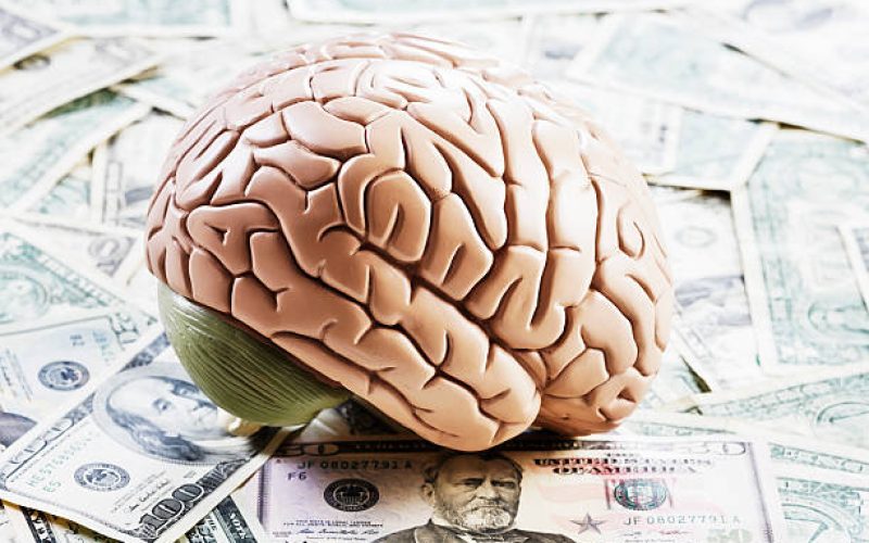 A model of the human brain sits on top of a pile of US dollars. Making money takes brains it seems.